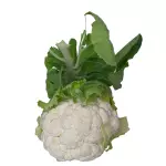 Coliflor Orgánico x unidad