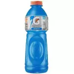 GATORADE BLUEBERRY 500ML