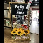 MALYN 420