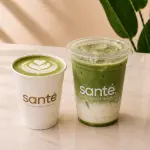 Vainilla Sugar Free Matcha