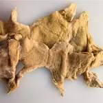 UBRE SALADA