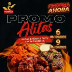 Alitas 6 Unidades