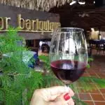 COPA DE VINO BLANCO / TINTO