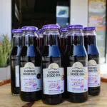 SUCO DE UVA 300ML