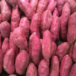 Batata-doce