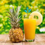 JUGO NATURAL PIÑA