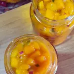 Ceviche de Manga