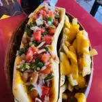 DOGO MONTADO JUMBO