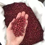 Feijão da Roça Vermelho - 1Kg
