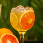 Gin Tropical