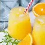 Suco Laranja 500ML