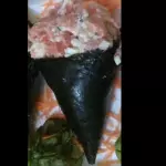 TEMAKI MÉDIO / salmao natural