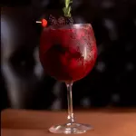 Gin Red Fruits