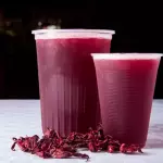 Agua de Jamaica 500 ml