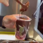 FONDUE DE 500ML