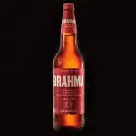 Brahma Duplo Malte