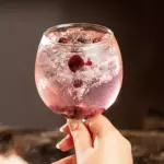 Gin - Brockmans con Frutos Rojos