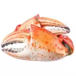 TENAZA DE CANGREJO 蟹钳