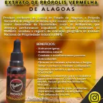 Extrato de própolis vermelha (30mL)