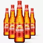 CERVEJA 600ML