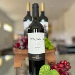 BENJAMIN MALBEC 750ML