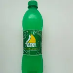 teem desechable