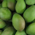 MANGO VERDE KILO
