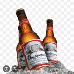 Cerveja garrafa 600ml budweiser