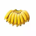 Banana organica