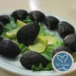 ALMEJAS EN CONCHA