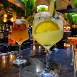 Gin tónic