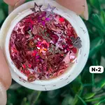 Decoração AnyLovy N•76