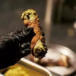 Cannolo de Pistacho