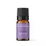 Salvia a.e.