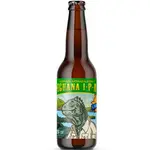 Iguana I-P-A