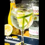 Gin Tonic Limón