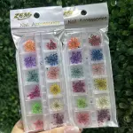 Flor Seca Minimalistas N•2