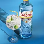 GIN GORDON'S