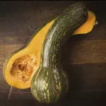 Abóbora de pescoço