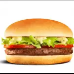 THE BURGUER