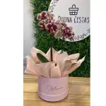 Dia especial