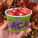 AÇAÍ PROMOCIONAL 250 ML