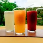 Suco Natural (COPO 300ML)