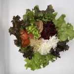 Michelena