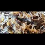 Fettucc. Cacao RESERVAR