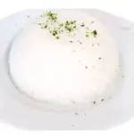 Porcion de arroz blanco