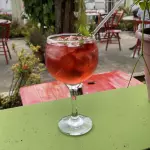 Gin Tonica Tanqueray(cópia)
