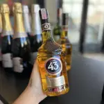 LICOR 43