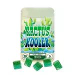 Kactus Kooler