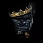 Monkeys House